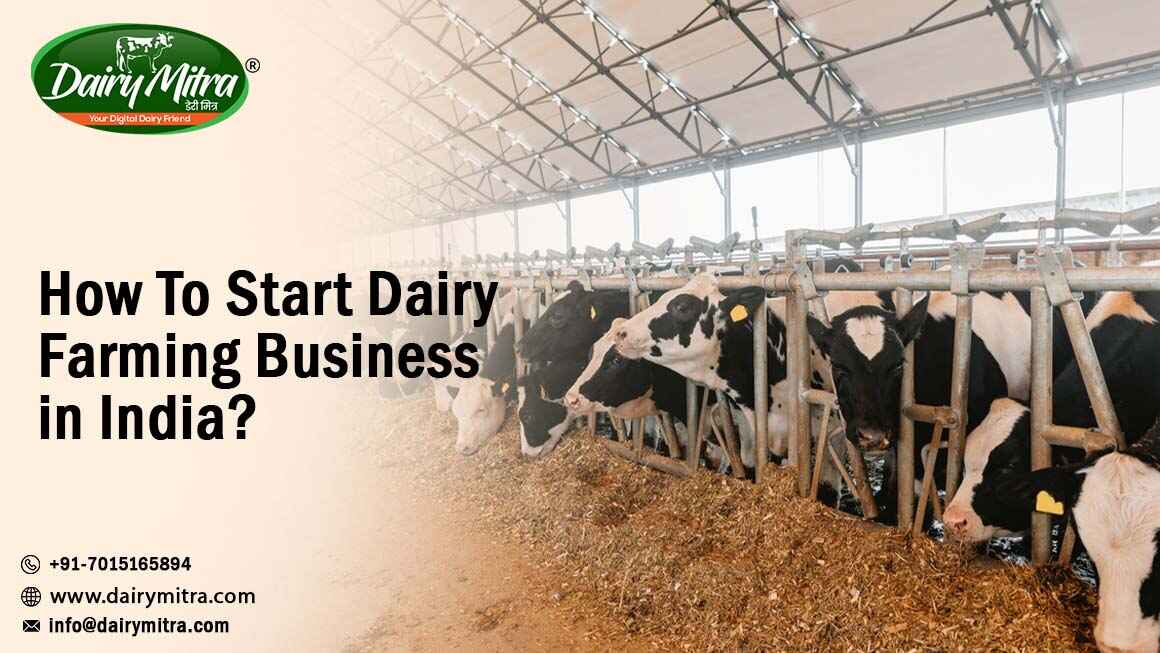 Dairy Farming Business in India